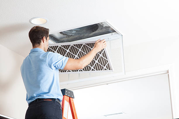 Best Thermostats and Smart Controls in Las Lomas, TX